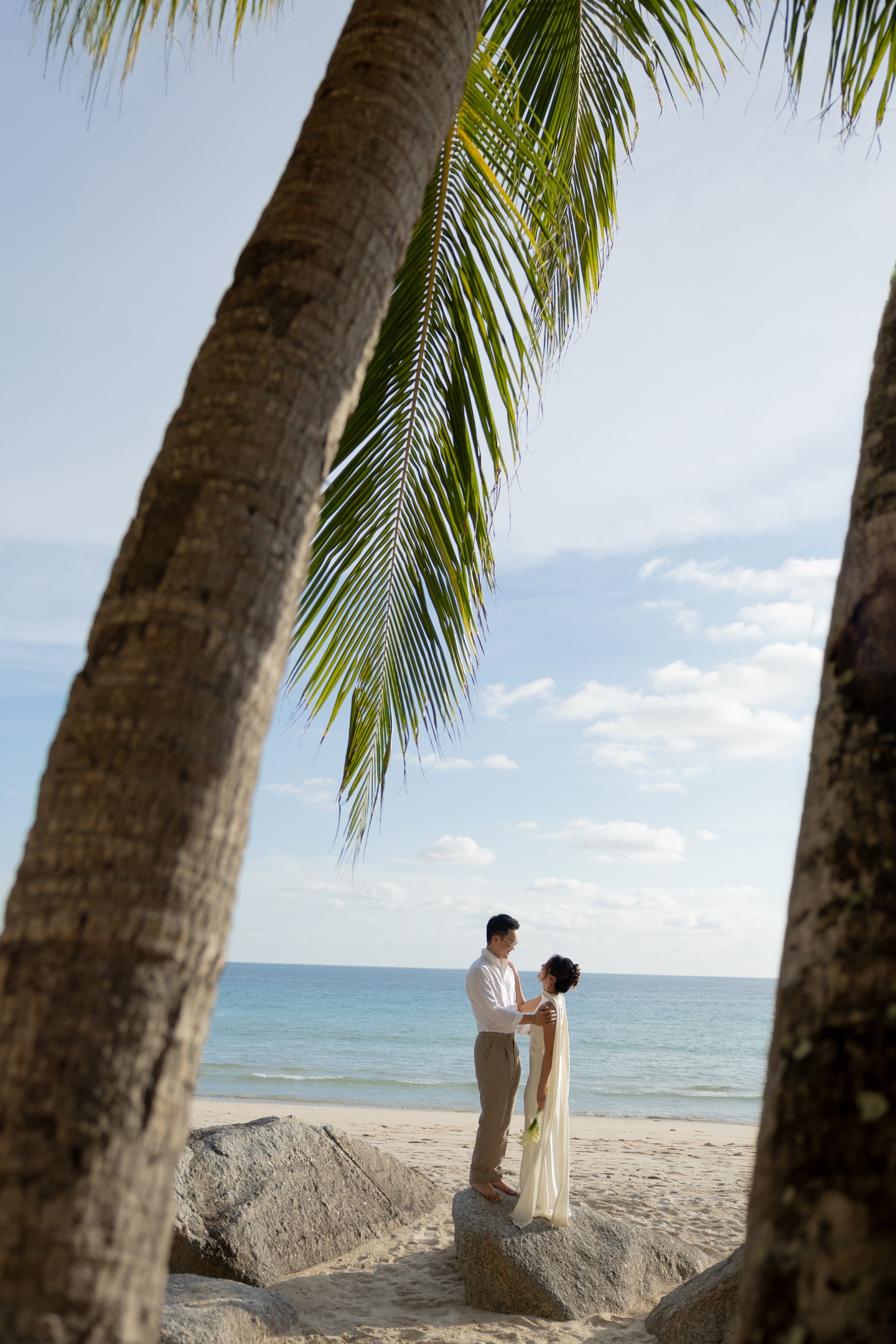 Framed by palms on the beach
